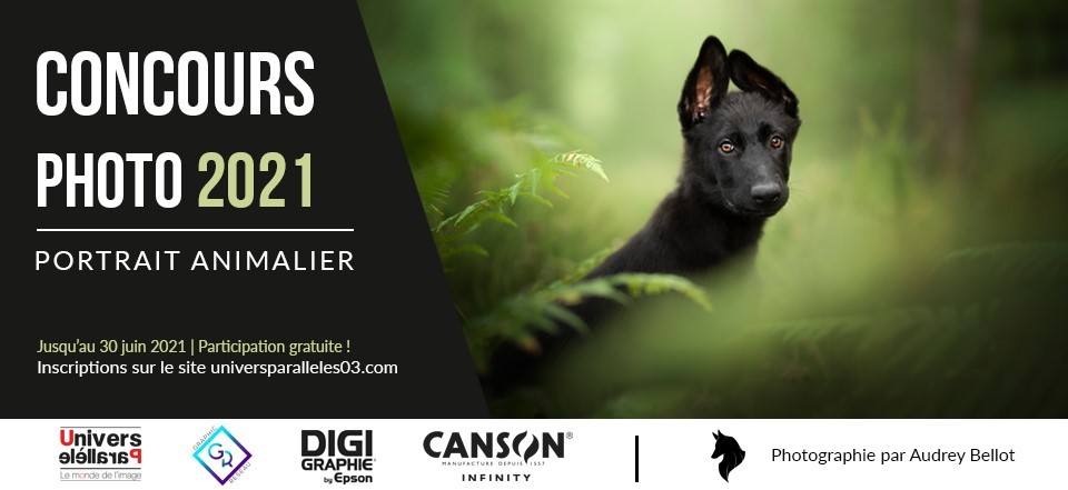 Concours Photo Univers Parallèles 2021 – Portrait Animalier